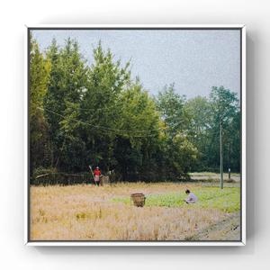 亚洲精品国产第一区第二区
