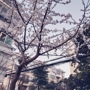 亚洲精品国产第一区第二区
