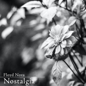 亚洲精品国产第一区第二区
